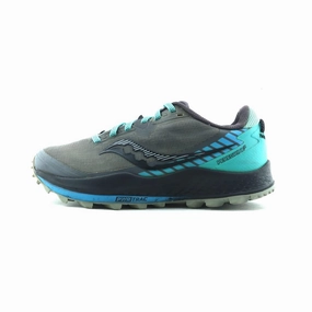 SAUCONY PEREGRINE 11